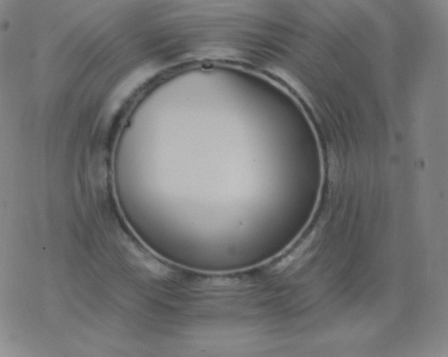 X0000076251115200610122158