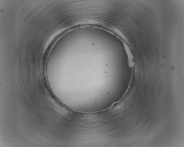 X0000076251116200610122158