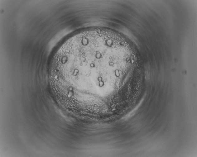 X0000076251117200610122158