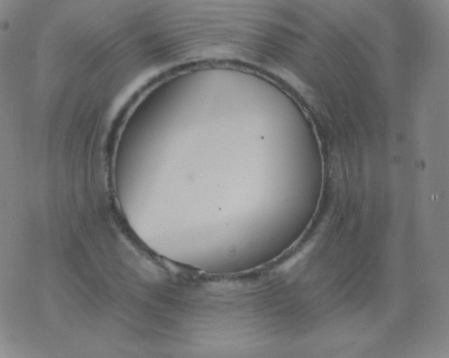 X0000076251118200610122158