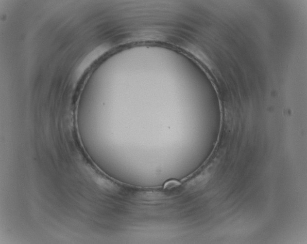 X0000076251119200610122158