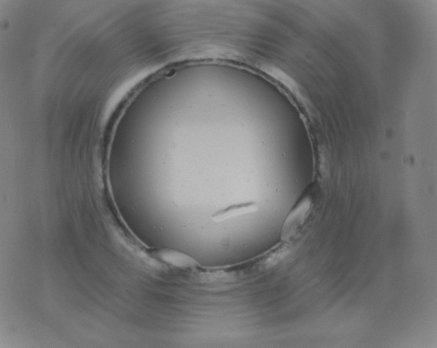 X0000076251120200610122158