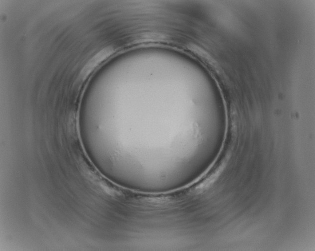 X0000076251121200610122158