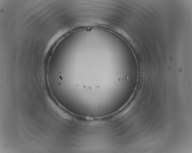 X0000076251122200610122158