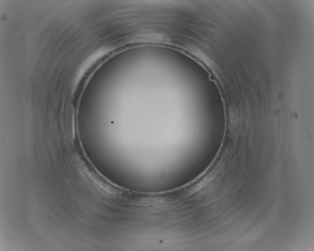 X0000076251123200610122158