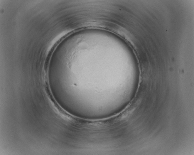 X0000076251125200610122158