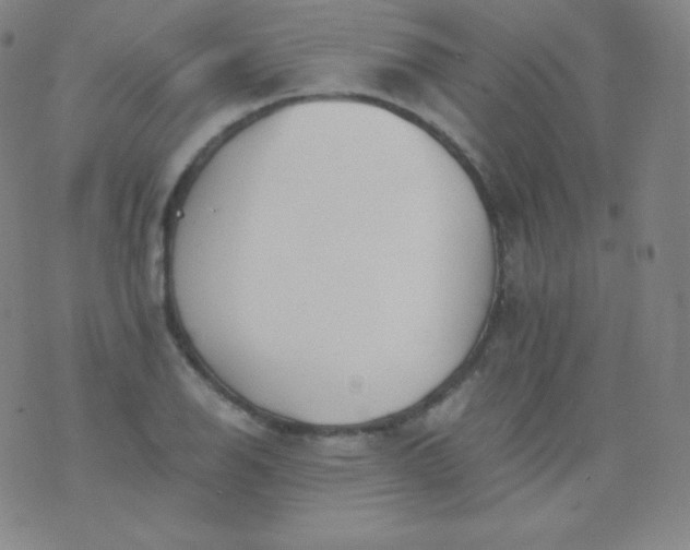 X0000076251126200610122158