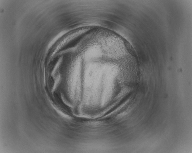 X0000076251127200610122158