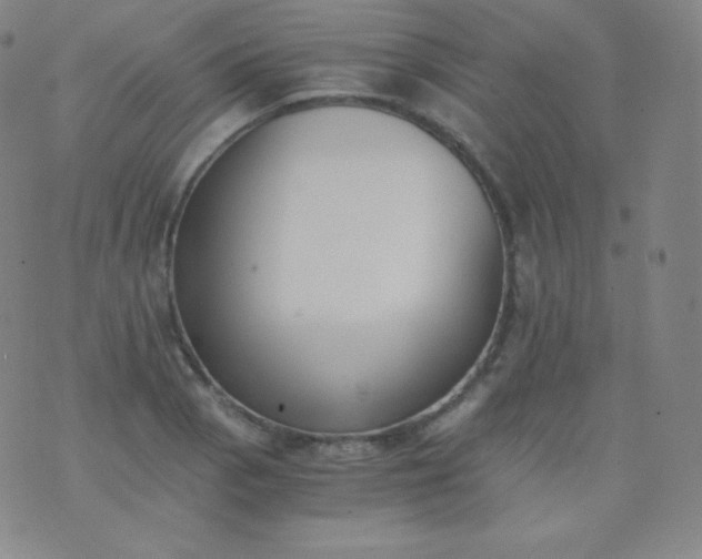 X0000076251129200610122158