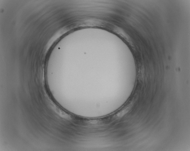 X0000076251130200610122158