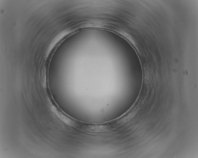 X0000076251131200610122158