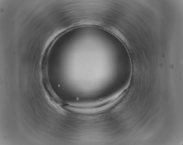 X0000076251132200610122158