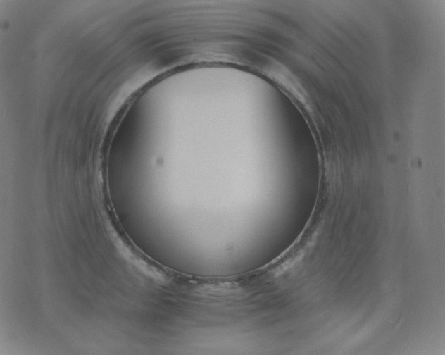 X0000076251133200610122158