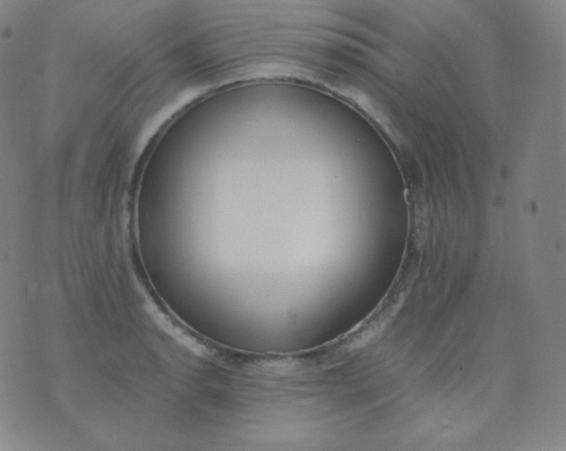 X0000076251134200610122159