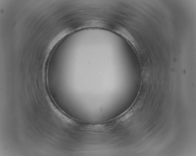 X0000076251135200610122159