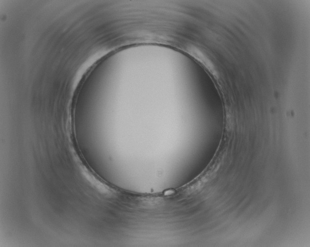 X0000076251136200610122159