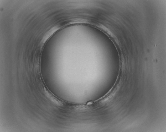 X0000076251137200610122159