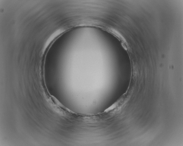 X0000076251138200610122159