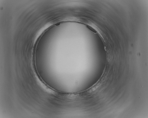 X0000076251139200610122159