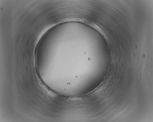 X0000076251140200610122159