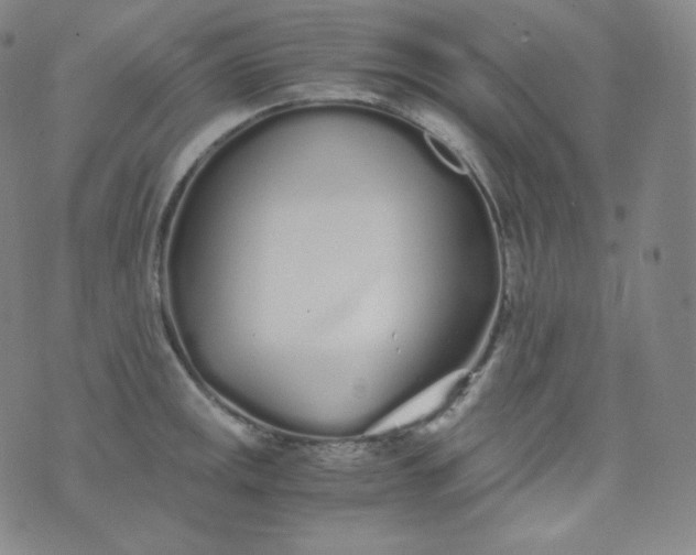 X0000076251141200610122159