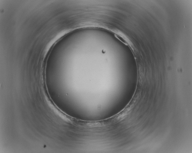 X0000076251142200610122159