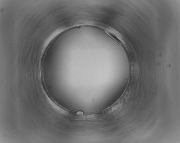 X0000076251143200610122159