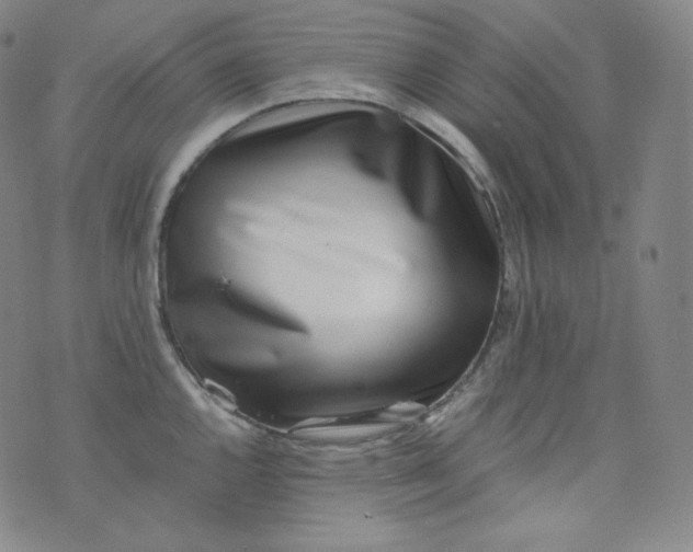 X0000076251144200610122159