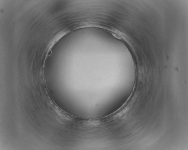 X0000076251145200610122159