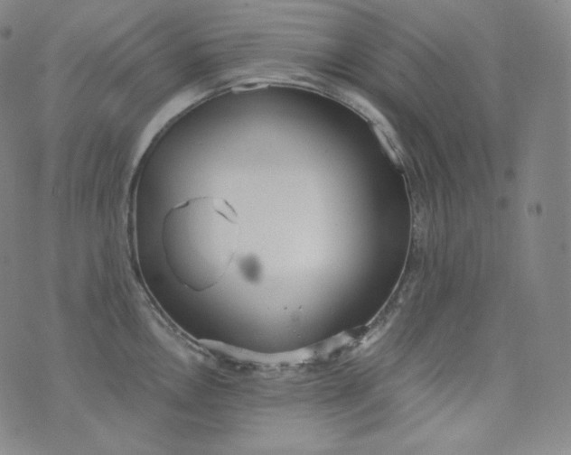 X0000076251146200610122159