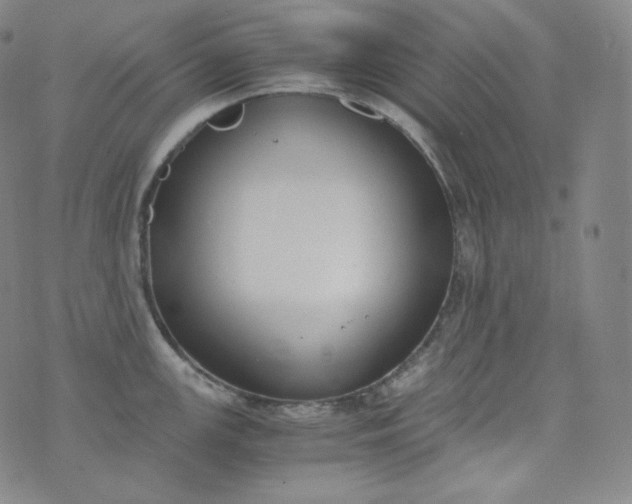 X0000076251147200610122159