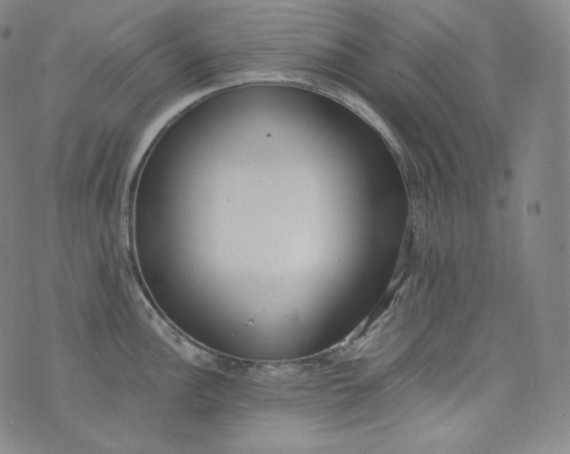 X0000076251148200610122159