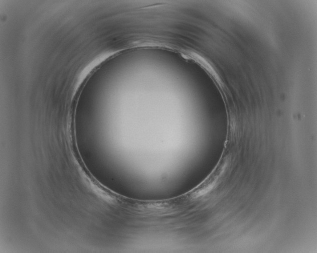 X0000076251149200610122159