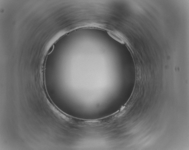 X0000076251151200610122159