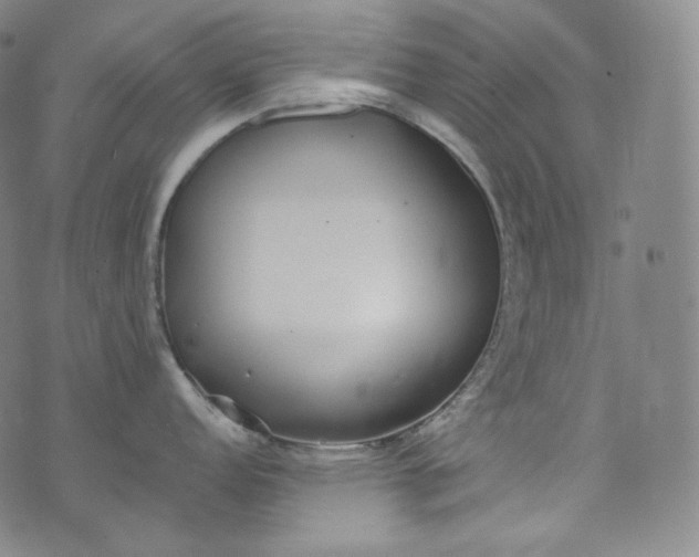 X0000076251152200610122159