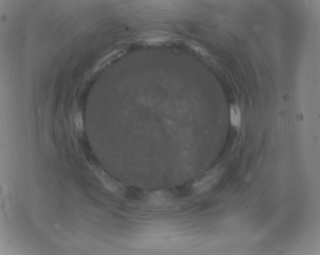 X0000076251155200610122158