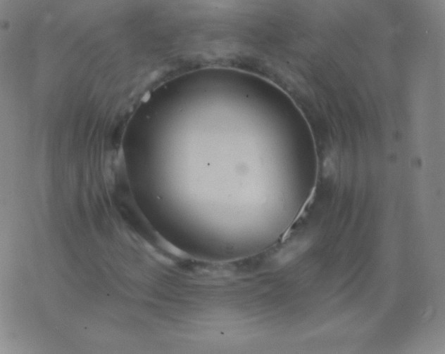 X0000076251156200610122158