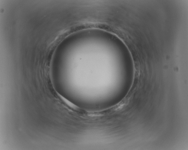 X0000076251157200610122158