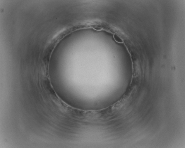 X0000076251158200610122158