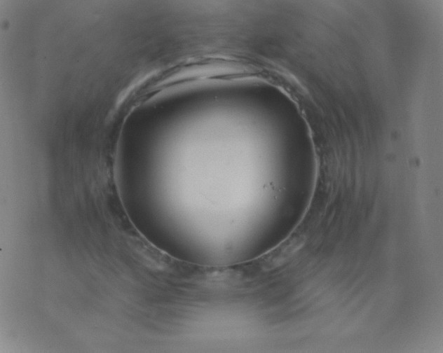 X0000076251160200610122158