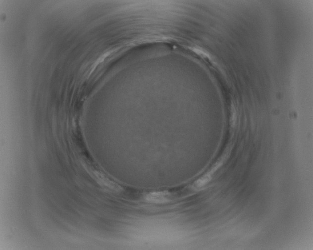 X0000076251161200610122158