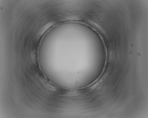 X0000076251162200610122158