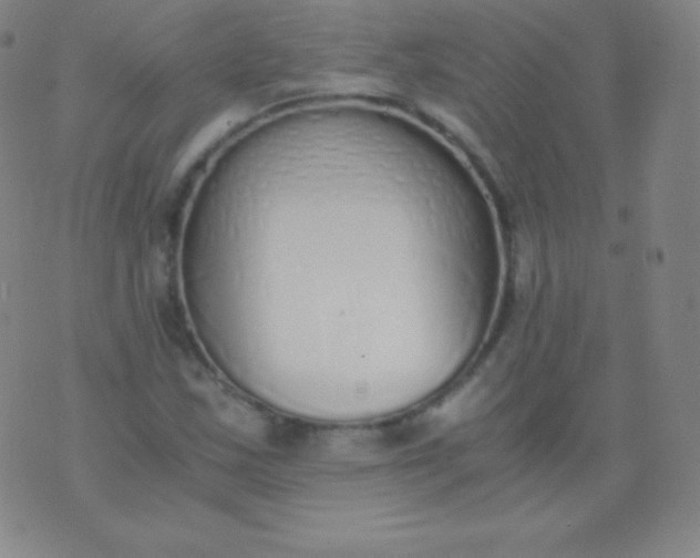 X0000076251163200610122158