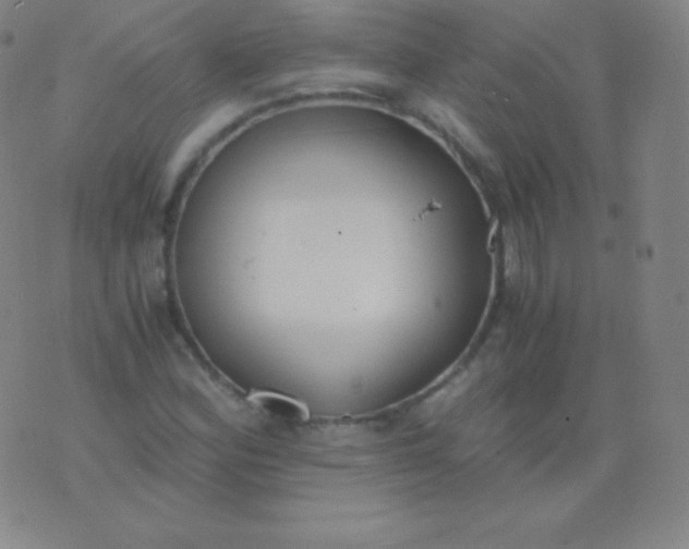 X0000076251164200610122158