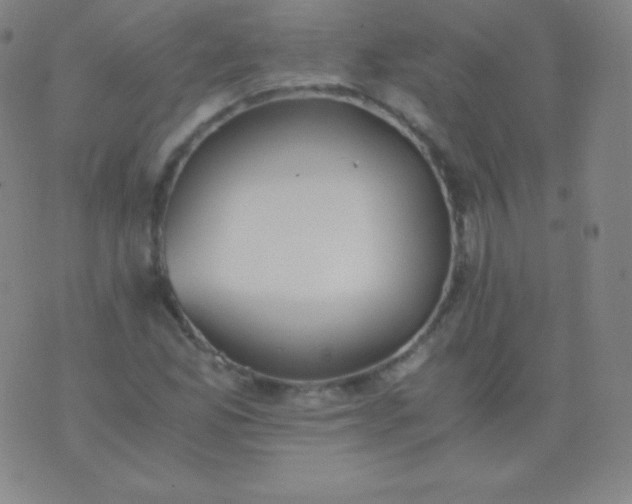 X0000076251165200610122158