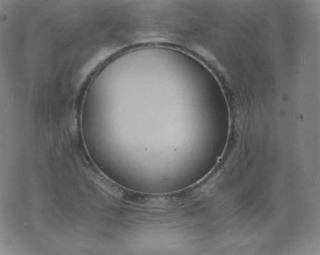 X0000076251167200610122158