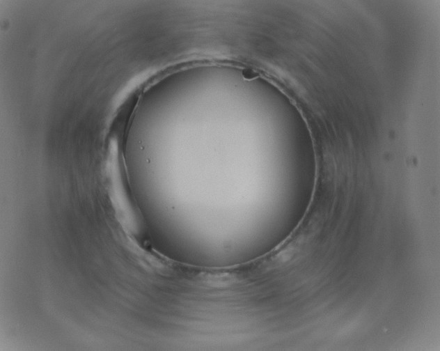 X0000076251168200610122158