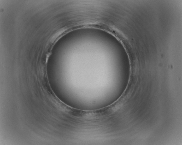 X0000076251169200610122158