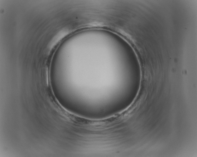 X0000076251171200610122158