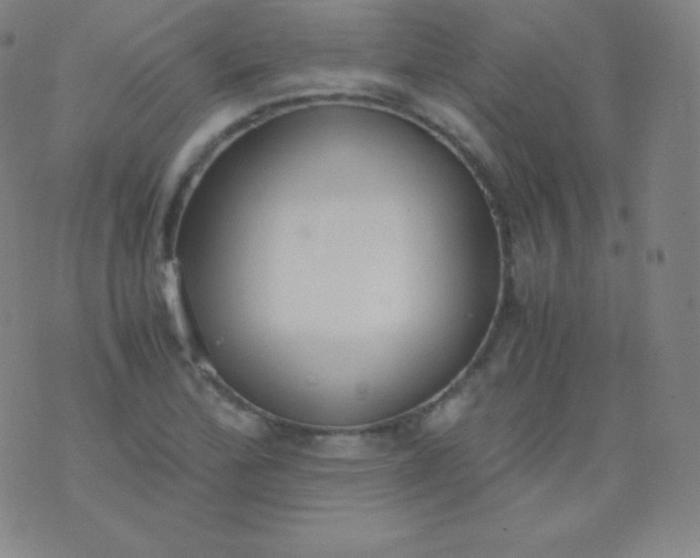 X0000076251172200610122158